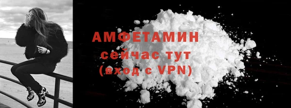прущие грибы Костерёво
