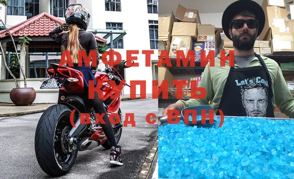 прущие грибы Костерёво