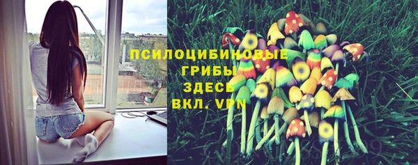 круглые Корсаков