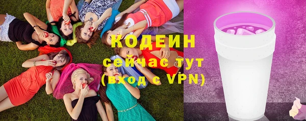 круглые Корсаков