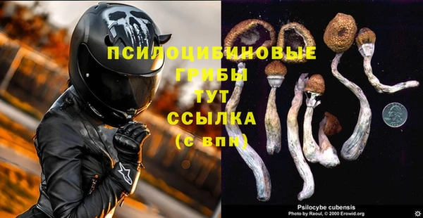 круглые Корсаков