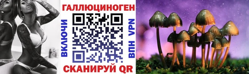 ссылка на мегу ссылки  магазин    Котельнич  Псилоцибиновые грибы Psilocybine cubensis 